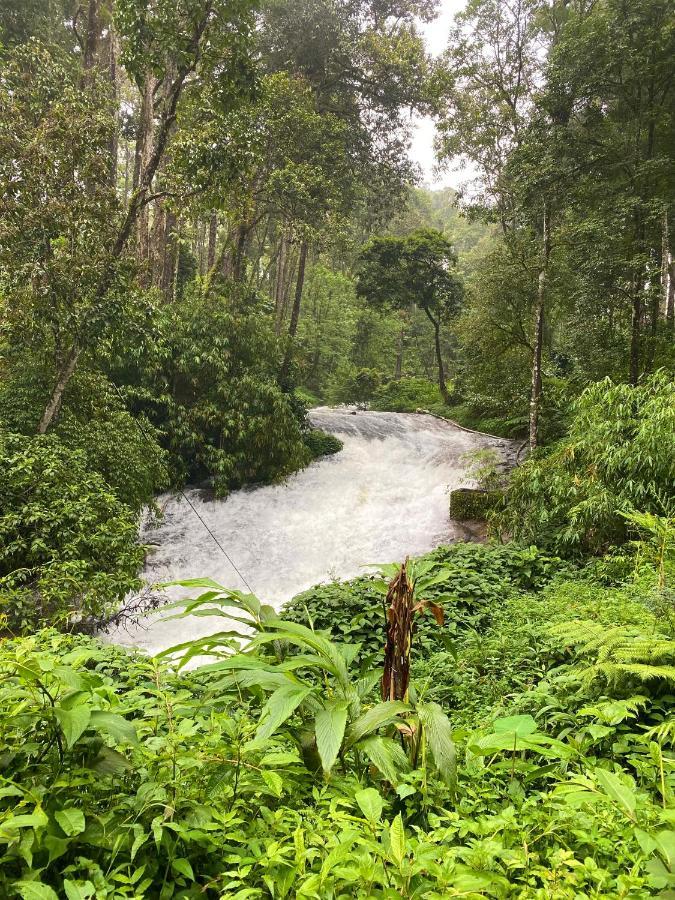 Flower Valley Plantation Homestay Munnar Eksteriør bilde